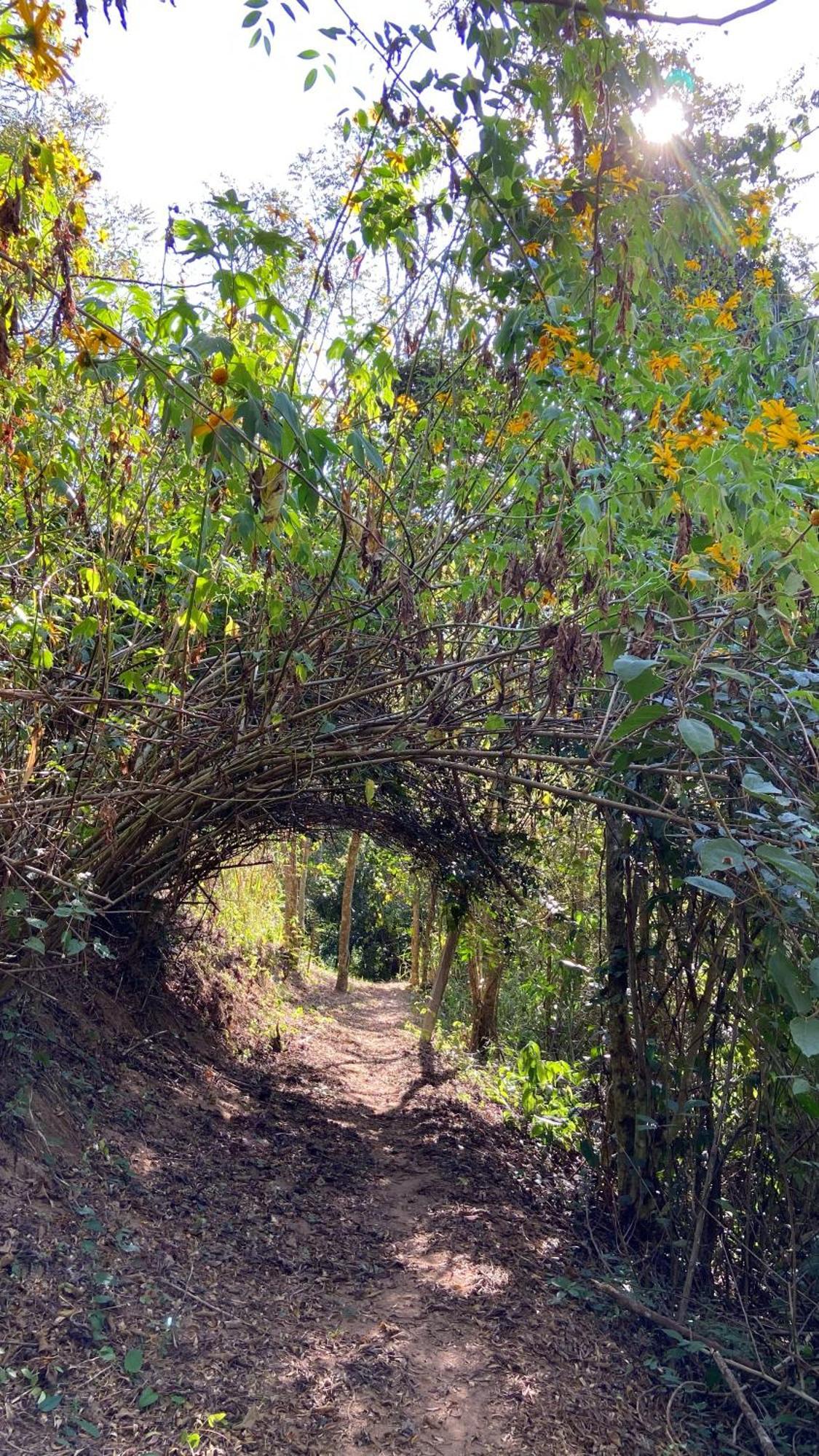 Chale Laranja - Sitio Caldeirao Villa Posse  Buitenkant foto