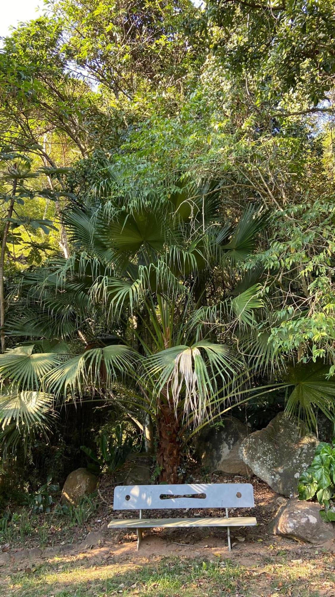 Chale Laranja - Sitio Caldeirao Villa Posse  Buitenkant foto